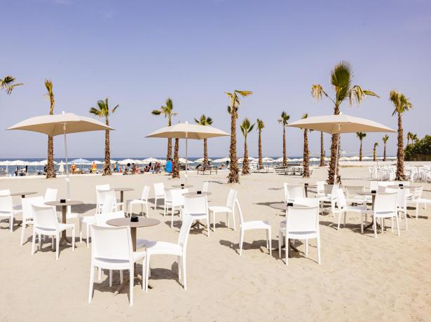 Plage avec palmiers, chaises blanches et parasols.