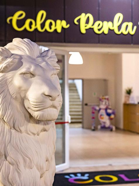 Löwenstatue vor einem hellen und einladenden Eingang.